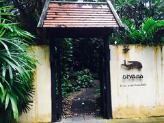 -迪瓦娜按摩和水疗中心