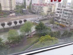 -复旦大学附属妇产科医院(杨浦院区)