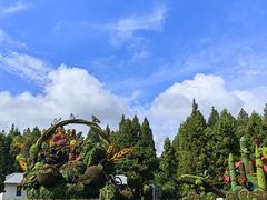 -东平国家森林公园