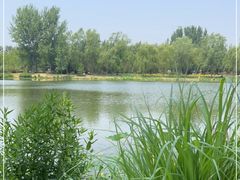 -东郊湿地公园