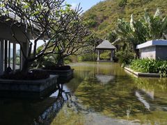 -日落吧·海景咖啡厅·餐酒吧·鸡尾酒·下午茶·乐队表演·浪漫夕阳·三亚文华东方酒店