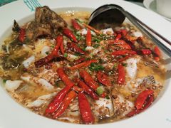 -姚姚酸菜鱼·金戈戈香港豉油鸡(喜荟城联名店)
