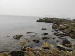 -小石岛景区