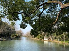 -西溪国家湿地公园