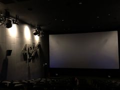 -CGV影城(壹方城IMAX店)