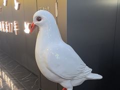 -琬苑鸽庄·川粤融合菜(解放碑总店)