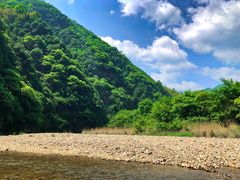 -老虎土菜馆·农家土菜