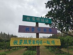 -前小桔亲子创意农场·草莓采摘·露营烧烤