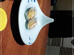 -黑松白鹿(新活馆店)