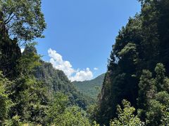 -刘伯温故里景区百丈漈