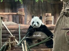 -泉州海丝野生动物世界