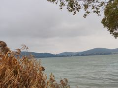 -无锡蠡湖国家湿地公园-蠡园
