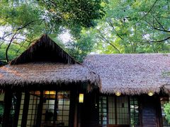 -中国茶叶博物馆(双峰馆区)