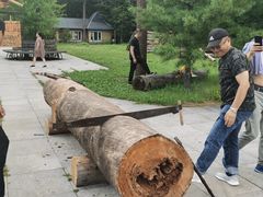 -五营红松林海景区