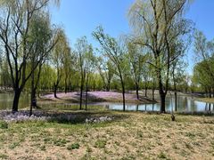 -东郊湿地公园