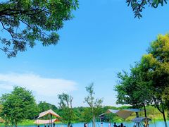 -海珠湖公园