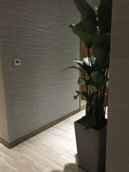 -苑苑vbeauty科技美容SPA