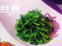 清炒空心菜-湘爱(凤凰汇店)
