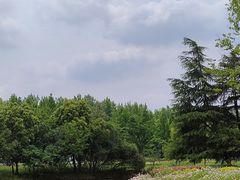 -昆山城市生态森林公园