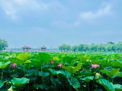 -长春市南湖公园