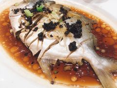 豆豉姜丝蒸风味金鲳鱼-稻香酒家·33年老字号·港式粤菜(富邦中心店)