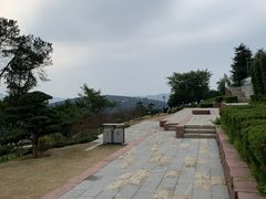 -铁山坪森林公园