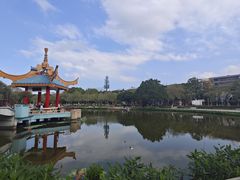 -金砂公园