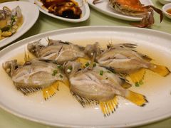 十六梅鱼-高佳庄·舟山海鲜(海景旗舰店)