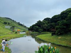 -大姆山草场