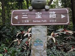 -南山植物园