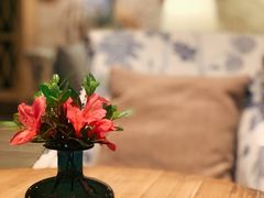 -看见远方·莫干遥远的山民宿