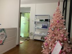 -Lab Season惜辰颜究社