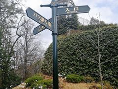 -三鹰之森吉卜力美术馆