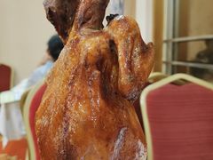 -和乐喜点(宝岗大道店)