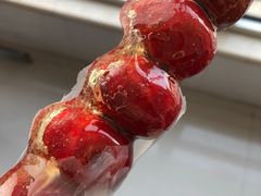 纯山楂冰糖葫芦-喜识·冰糖葫芦·炒酸奶(西美花街店)