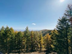-苏木山森林公园
