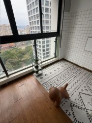 -纸飞机儿童摄影·底片全送