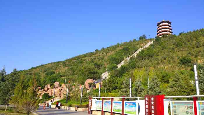 古雁岭-"是固原本地最大的森林公园吧,山不是很高,."-大众点评移动版