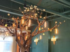 大堂-梧桐树下(云锦世家店)