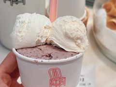 -红楼HONGLOU Gelato(淮海中路店)
