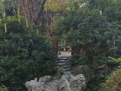 -扬州大运河文化旅游度假区·盆景园