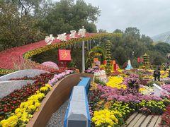 -南山植物园