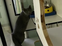 -幸福蓝海院线影城(世茂滨江店)