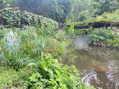 -中国科学院西双版纳热带植物园