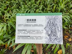 -中国科学院西双版纳热带植物园