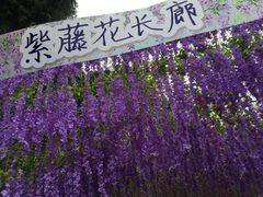 -中国香山·寿香谷