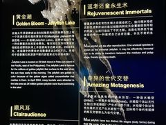 -上海海洋水族馆