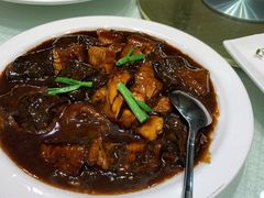 红烧鮰鱼-金时代顺风大酒店(协泰店)