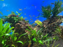 -太平洋海底世界