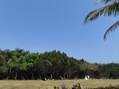 -福田红树林生态公园